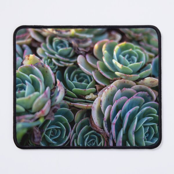 Item preview, Houseleek designed and sold by SasaSafarik95.