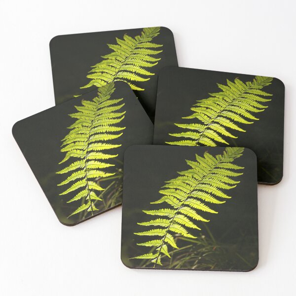 Item preview, Digital Photograph of sunlit luminous fern designed and sold by SimonJohnson1.