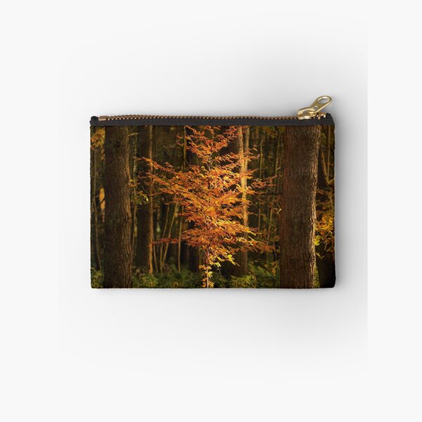 Item preview, Digital Photograph of sunlit Beech tree in autumn designed and sold by SimonJohnson1.