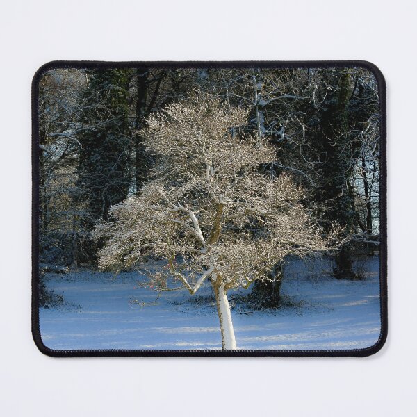 Item preview, Digital Photograph of a frosted tree in snow designed and sold by SimonJohnson1.