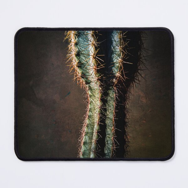 Item preview, Cactus designed and sold by Visual Arts Sławomir Grzanek.