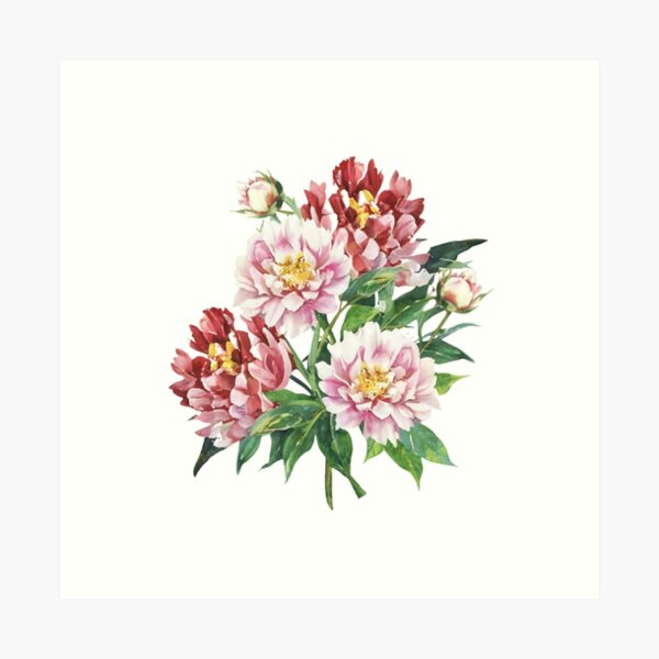 Item preview, Peony Flower designed and sold by Blink Art Studio.