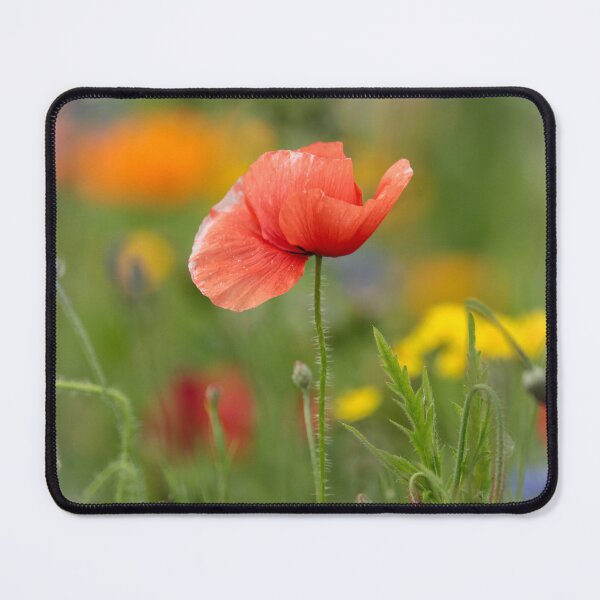Item preview, Digital Photograph of Poppy flower designed and sold by SimonJohnson1.