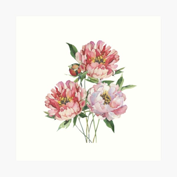 Item preview, Peony Flower designed and sold by Blink Art Studio.