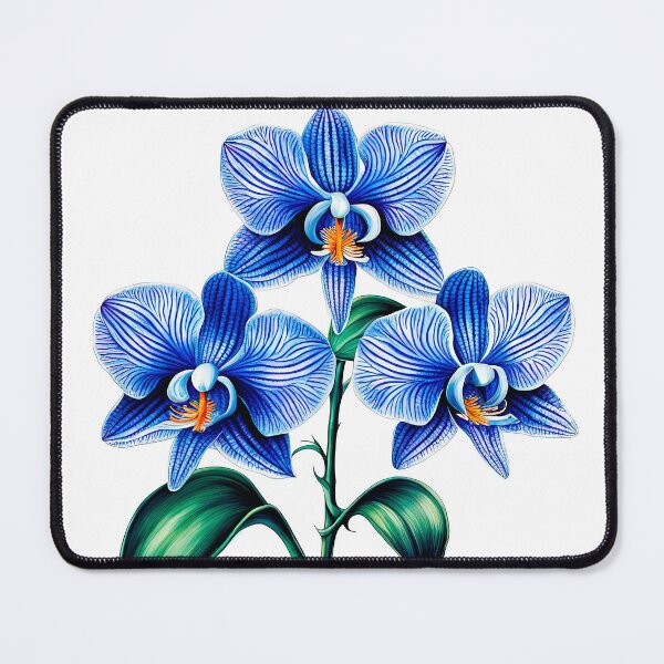 Item preview, Beautiful Blue Phalaenopsis Orchid  designed and sold by LanaGustavsson.