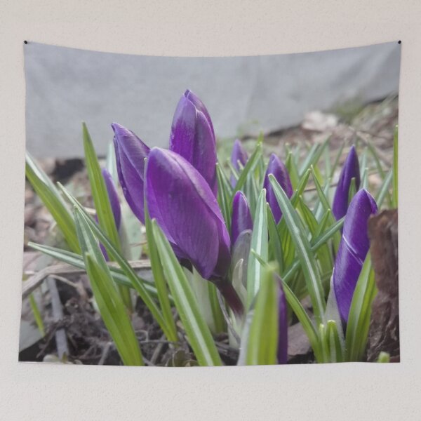 Item preview,  buds of crocuses designed and sold by AidaArt.