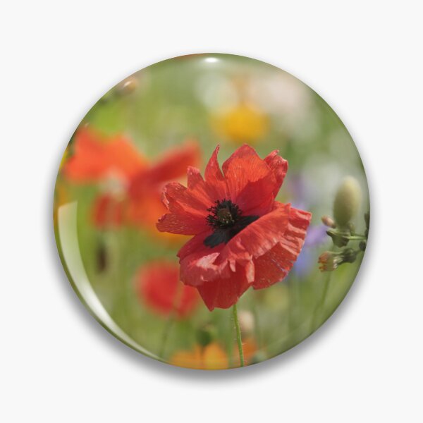 Artikelvorschau, Digitales Foto von Mohn entworfen und verkauft von SimonJohnson1.