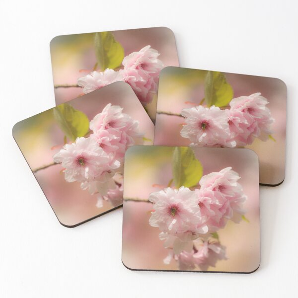 Item preview, Digital Photograph of sunlit spring c herry blossom designed and sold by SimonJohnson1.