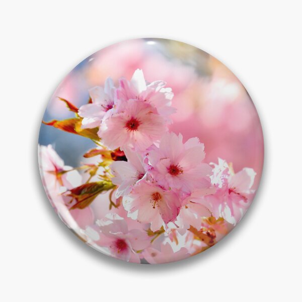 Item preview, Digital Photograph of sunlit spring Cherry Blossom designed and sold by SimonJohnson1.