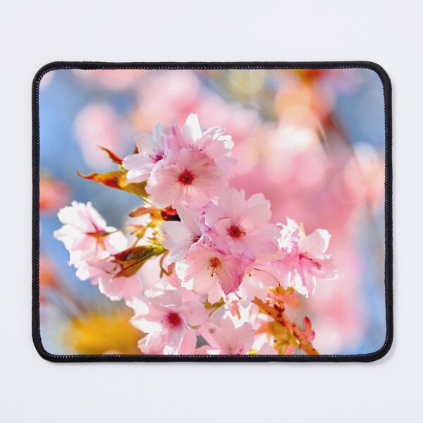 Item preview, Digital Photograph of sunlit spring Cherry Blossom designed and sold by SimonJohnson1.