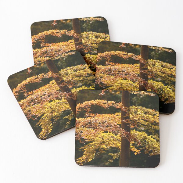 Item preview, Digital Photograph of sunlit autumn beec leaves designed and sold by SimonJohnson1.