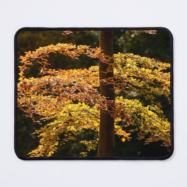 Item preview, Digital Photograph of sunlit autumn beec leaves designed and sold by SimonJohnson1.