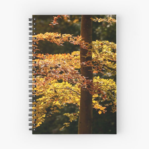 Item preview, Digital Photograph of sunlit autumn beec leaves designed and sold by SimonJohnson1.