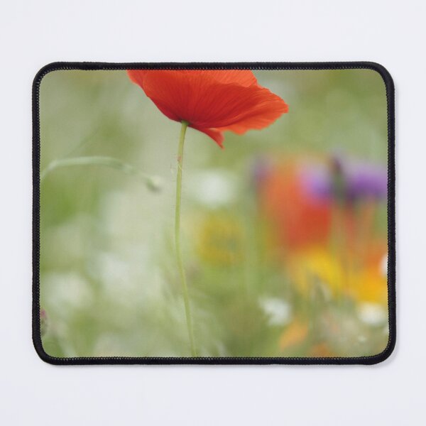 Item preview, Digital Photograph of Poppy flower designed and sold by SimonJohnson1.