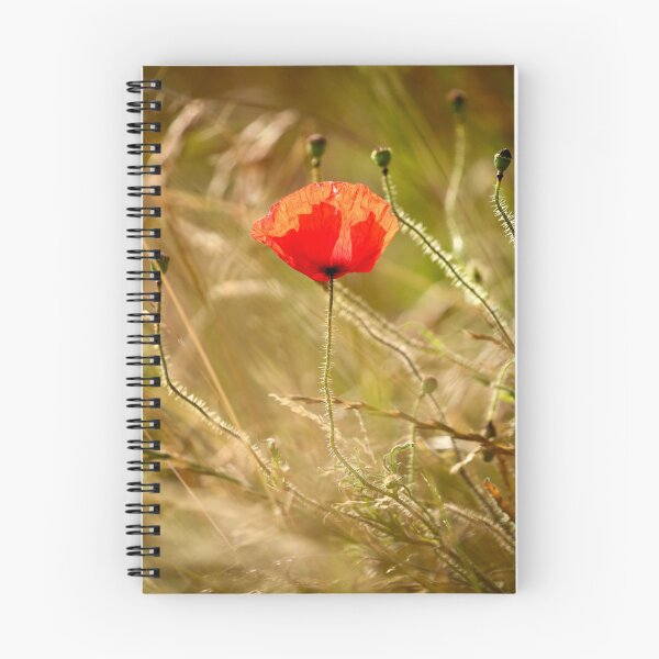 Artikelvorschau, Digitale Fotografie einer Mohnblume entworfen und verkauft von SimonJohnson1.