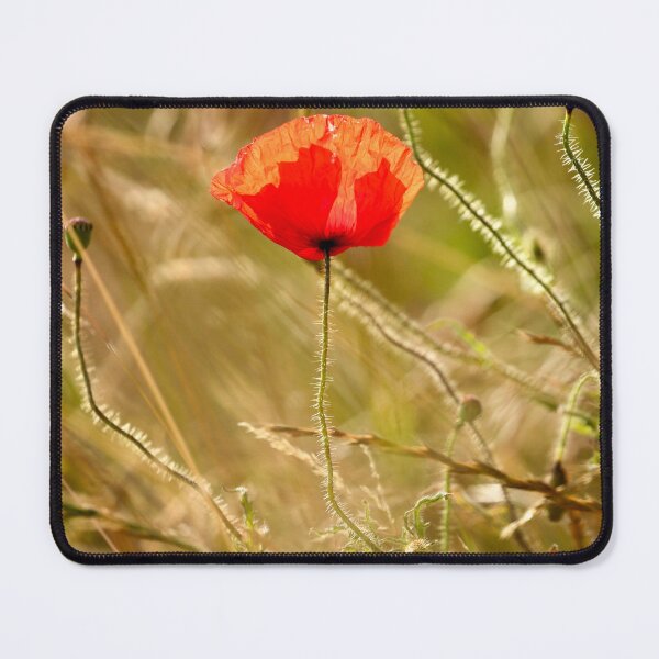 Artikelvorschau, Digitale Fotografie einer Mohnblume entworfen und verkauft von SimonJohnson1.