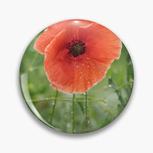 Artikelvorschau, Digitale Fotografie einer Mohnblume entworfen und verkauft von SimonJohnson1.