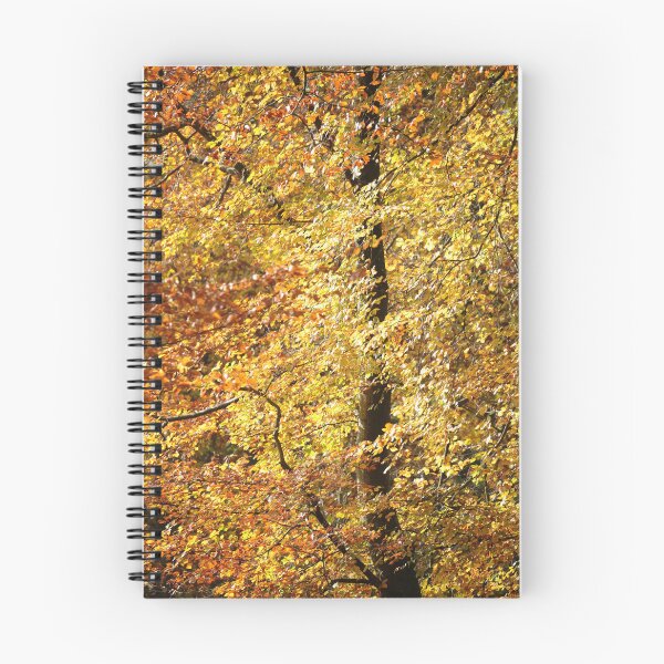 Item preview, Digital Photograph of autumn leaves designed and sold by SimonJohnson1.