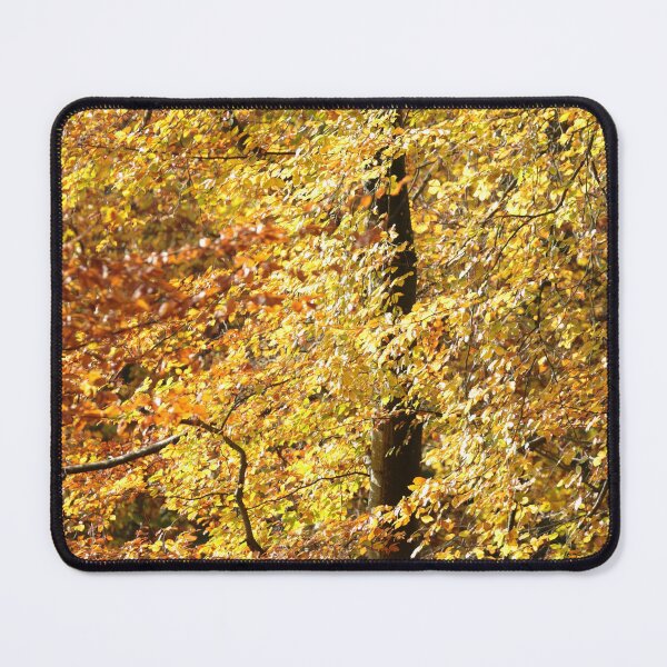 Item preview, Digital Photograph of autumn leaves designed and sold by SimonJohnson1.