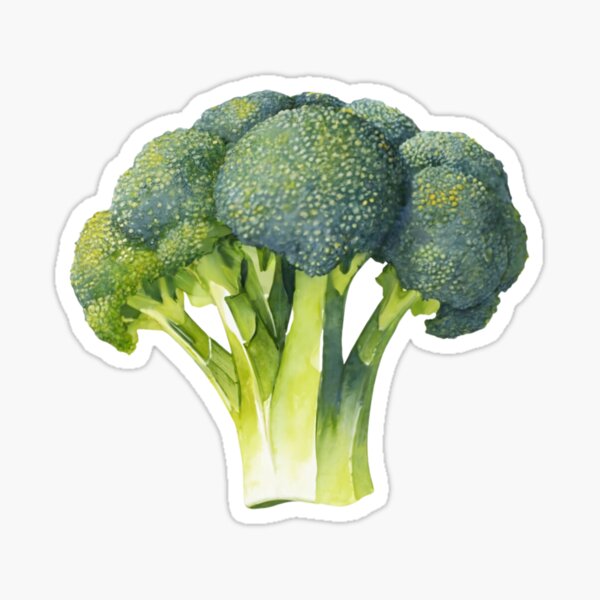 Item preview, Fresh Green Broccoli designed and sold by Blink Art Studio.