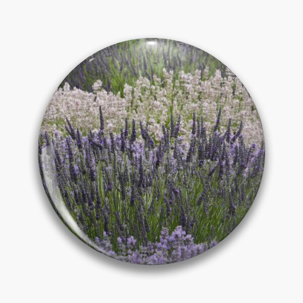 Item preview, Digital Photograph of Lavender fields designed and sold by SimonJohnson1.