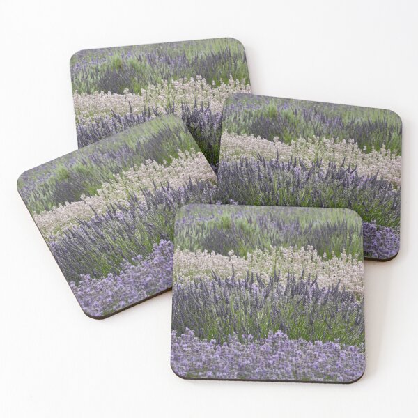 Item preview, Digital Photograph of Lavender fields designed and sold by SimonJohnson1.