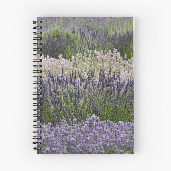 Item preview, Digital Photograph of Lavender fields designed and sold by SimonJohnson1.