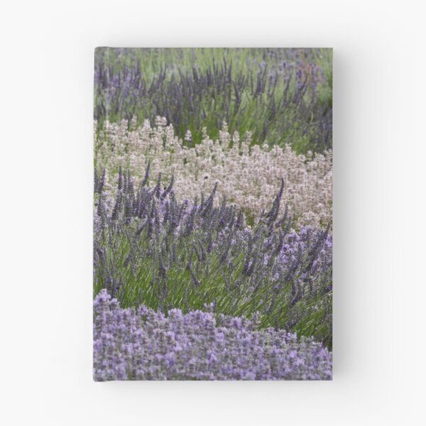 Item preview, Digital Photograph of Lavender fields designed and sold by SimonJohnson1.