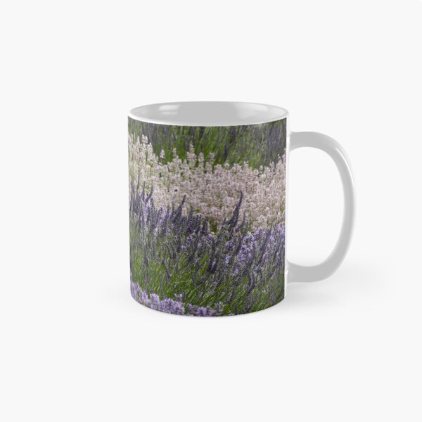 Item preview, Digital Photograph of Lavender fields designed and sold by SimonJohnson1.