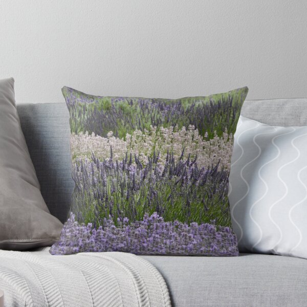 Item preview, Digital Photograph of Lavender fields designed and sold by SimonJohnson1.