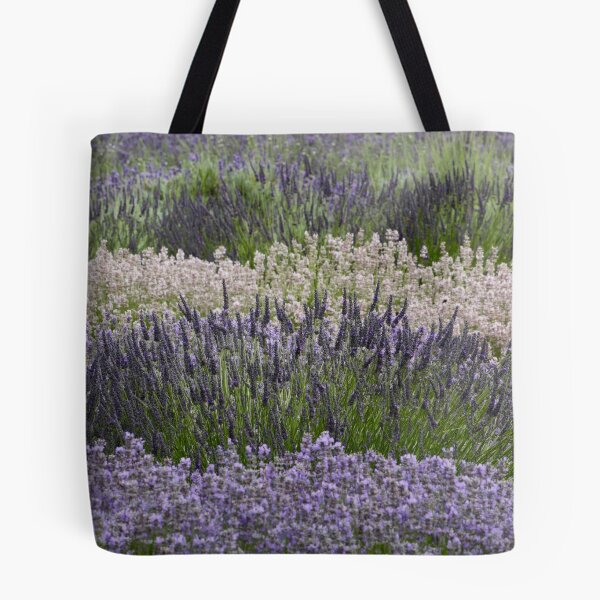 Item preview, Digital Photograph of Lavender fields designed and sold by SimonJohnson1.