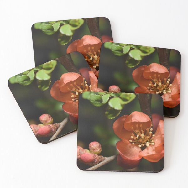 Item preview, Magical red japanese flowering quince macro picture designed and sold by thesuspire.