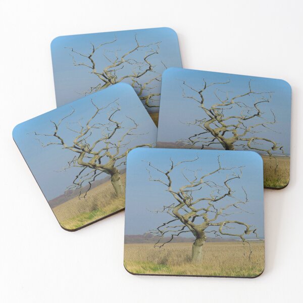 Item preview, Salt marsh designed and sold by Art by Dom G.