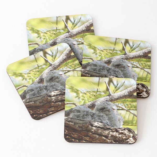 Item preview, Tawny Frogmouth chicks  designed and sold by Mark Grimsley.