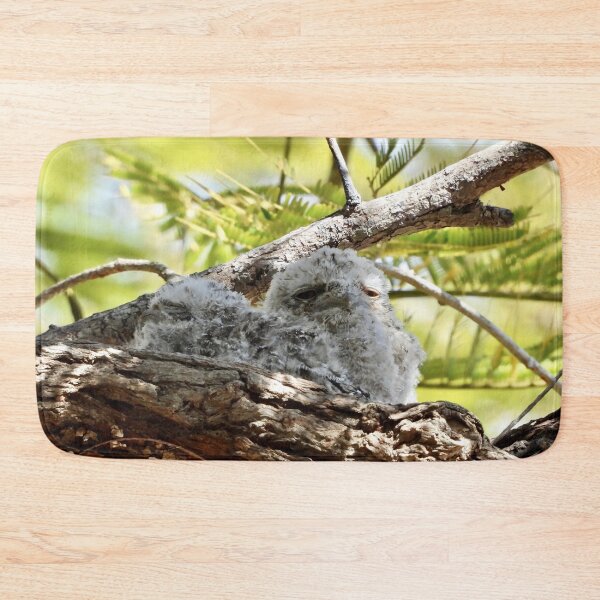 Item preview, Tawny Frogmouth chicks  designed and sold by Mark Grimsley.
