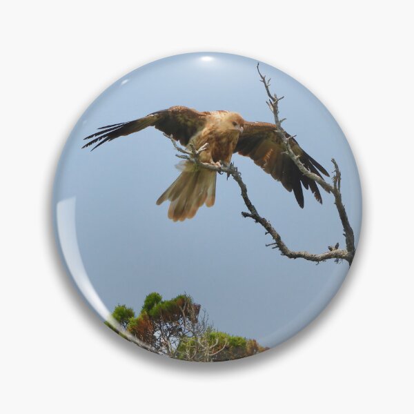 Item preview, Whistling Kite wings out designed and sold by Mark Grimsley.