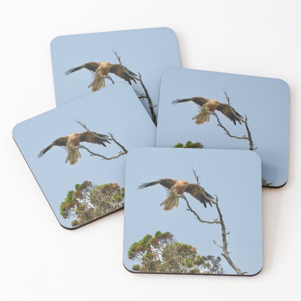 Item preview, Whistling Kite wings out designed and sold by Mark Grimsley.