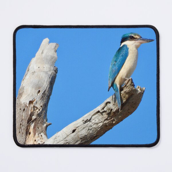 Item preview, Sacred Kingfisher on the lookout  designed and sold by Mark Grimsley.