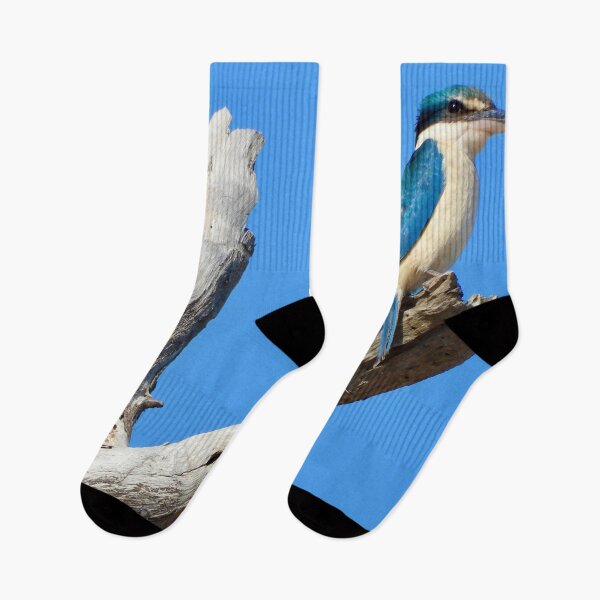 Item preview, Sacred Kingfisher on the lookout  designed and sold by Mark Grimsley.
