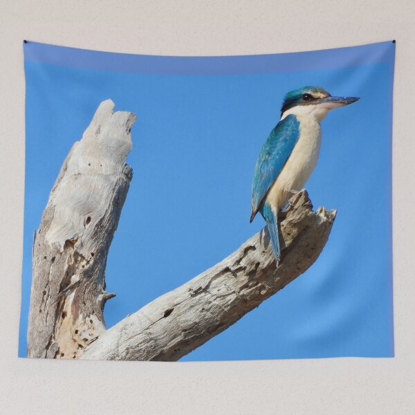 Item preview, Sacred Kingfisher on the lookout  designed and sold by Mark Grimsley.