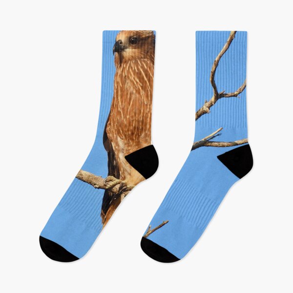 Item preview, Whistling Kite on the lookout designed and sold by Mark Grimsley.