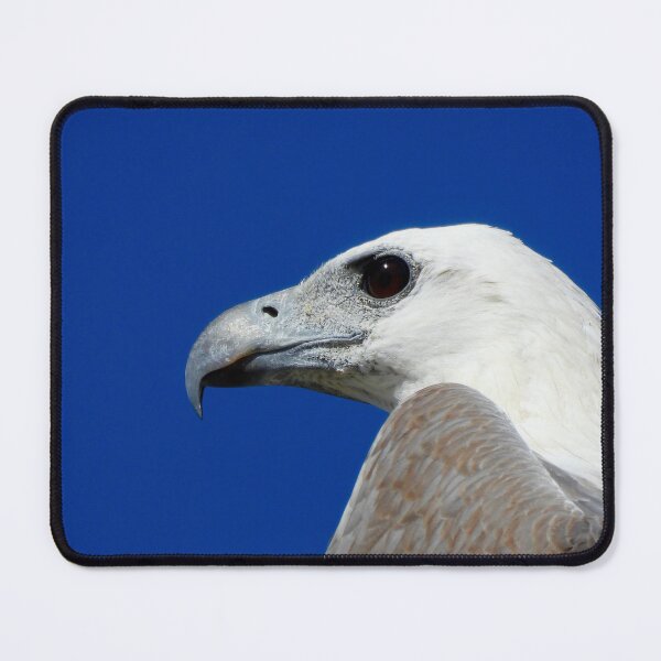 Item preview, White-Bellied Sea-eagle side on designed and sold by Mark Grimsley.