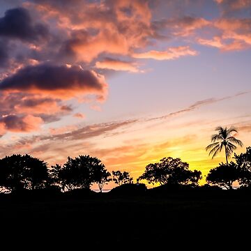 Artwork thumbnail, Sunset from Ali'i Beach Park by ROBERT NIEDERRITER