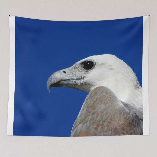 Item preview, White-Bellied Sea-eagle side on designed and sold by Mark Grimsley.
