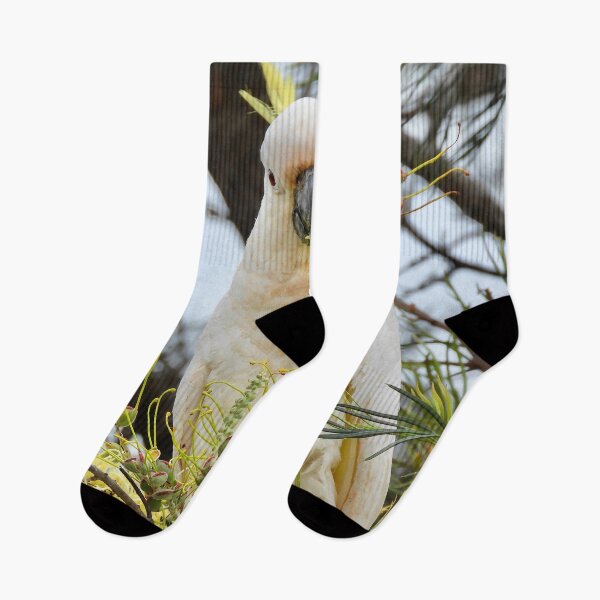 Item preview, Cockatoo won't share its food designed and sold by Mark Grimsley.
