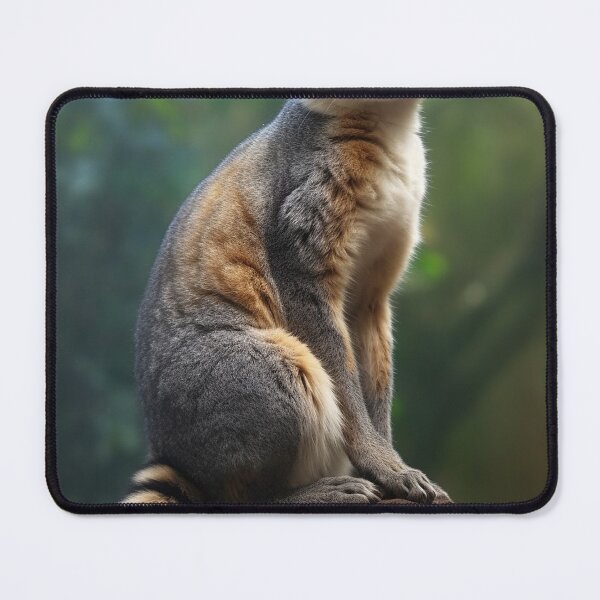 Item preview, Ring-Tailed Cat designed and sold by DigitizedArt.