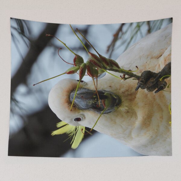 Item preview, Cockatoo with a mouthful  designed and sold by Mark Grimsley.