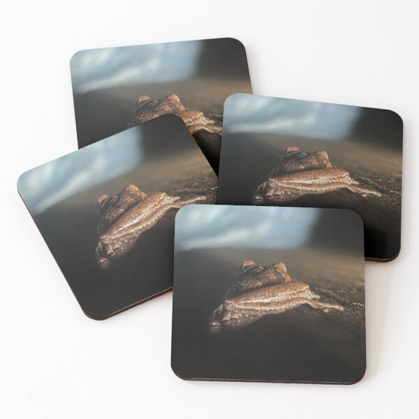 Item preview, Frog Predawn designed and sold by Jason Tompkins.