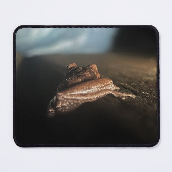 Item preview, Frog Predawn designed and sold by Jason Tompkins.