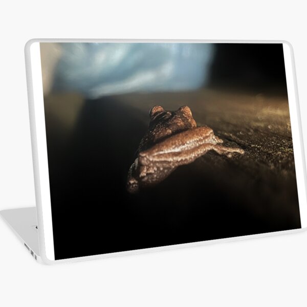 Aperçu de l'œuvre Grenouille avant l'aube créée et vendue par Jason Tompkins.